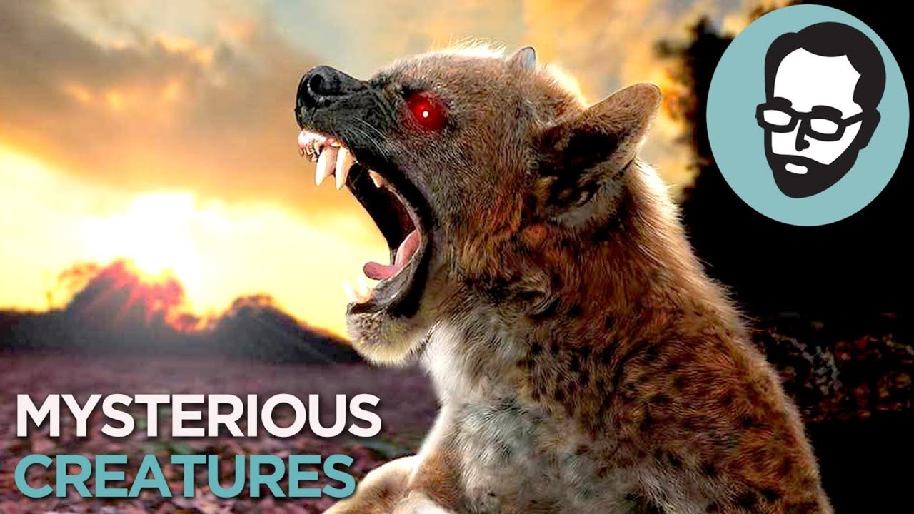 5 Cryptids That Could Actually Exist | Random Thursday | Nebula
