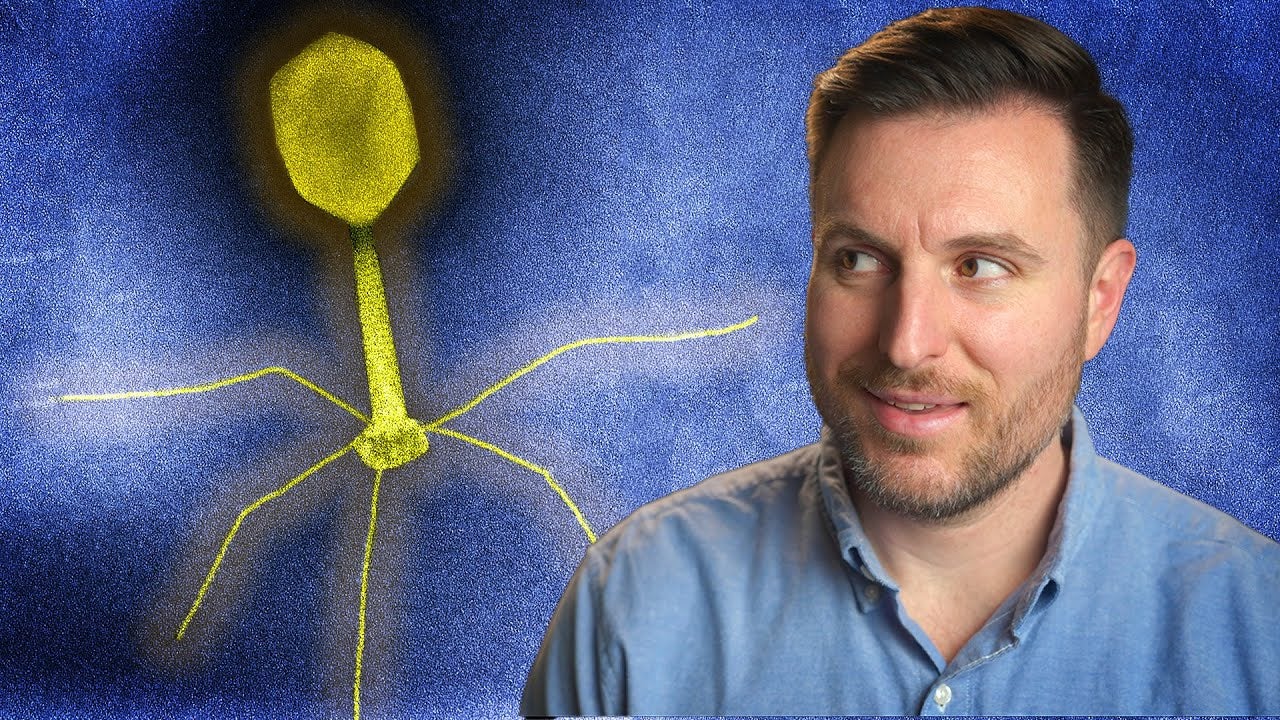 The History of Phage Therapy | Nebula