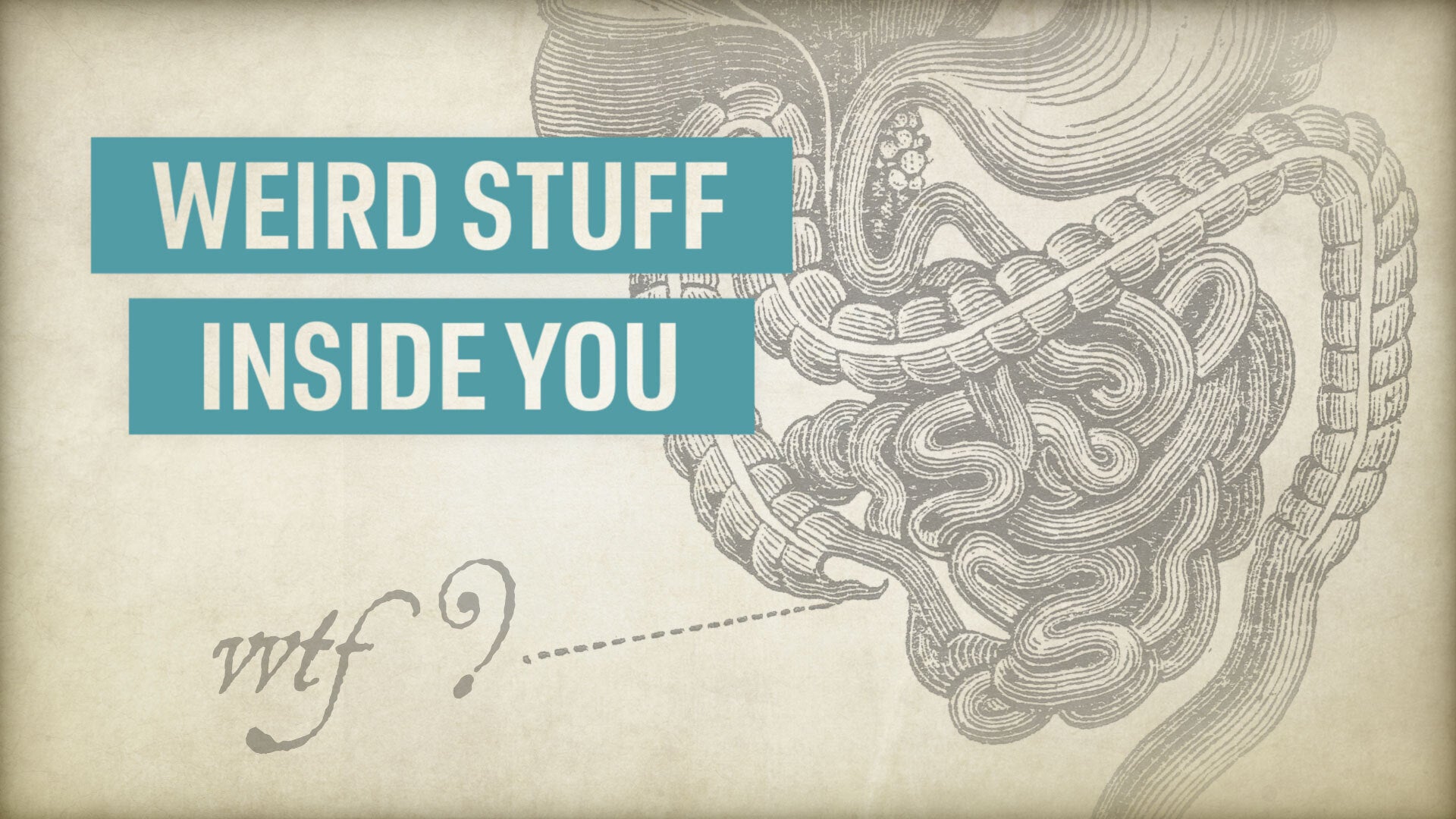 Weird Stuff That Might Be Inside You Right Now | Nebula