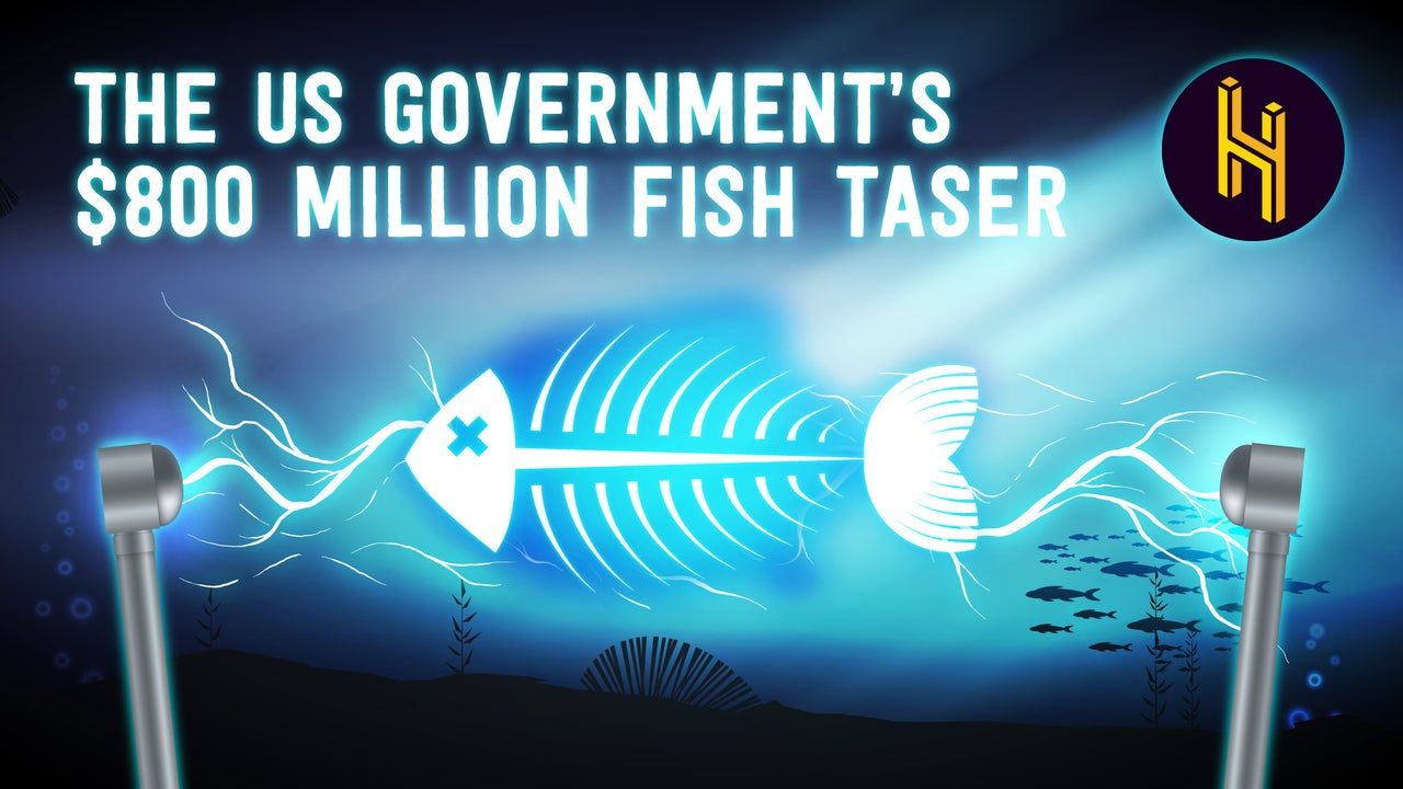 The US Government's $800 Million Fish Taser | Nebula