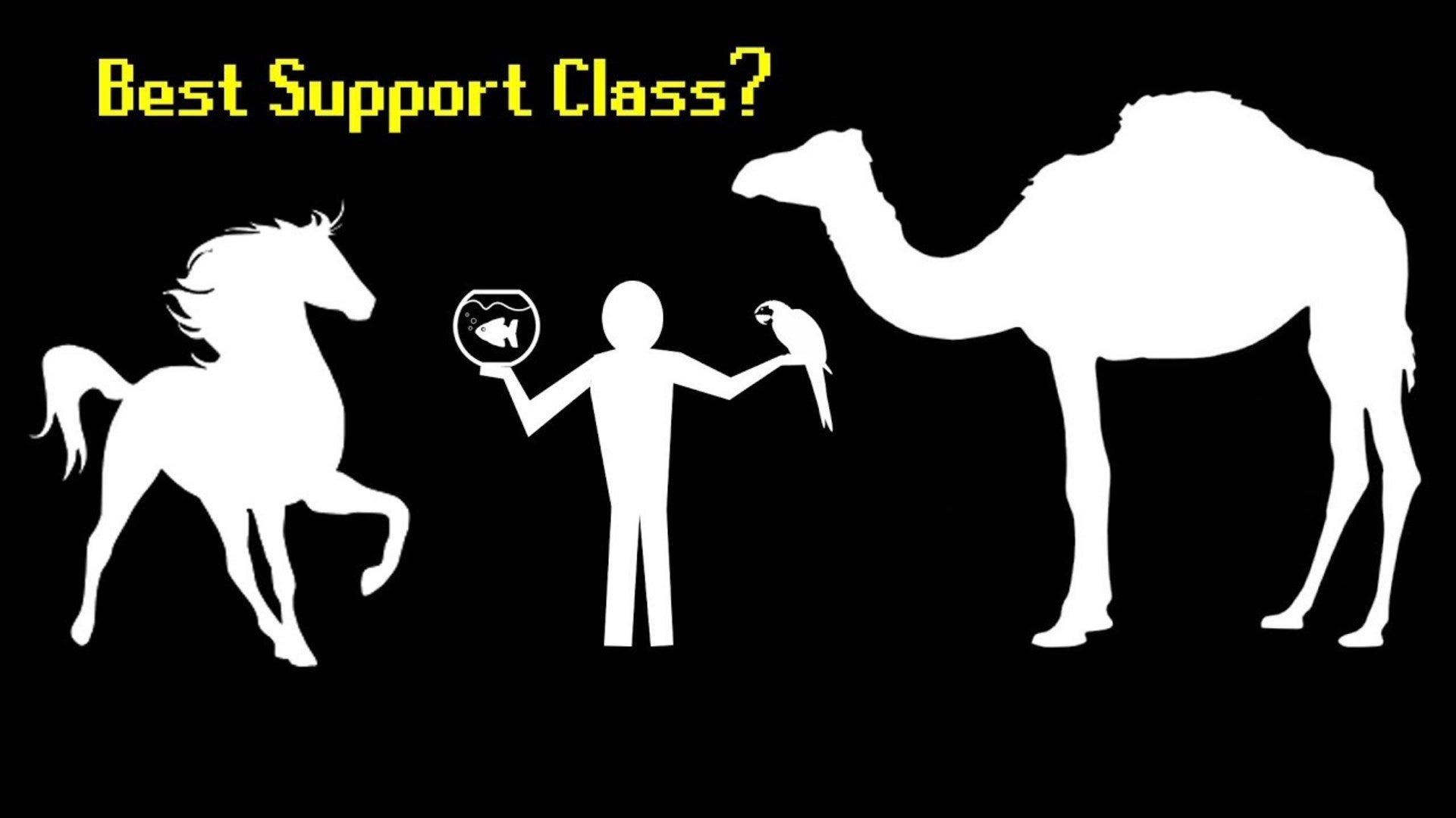 What's the Best Human Support Class? | Nebula