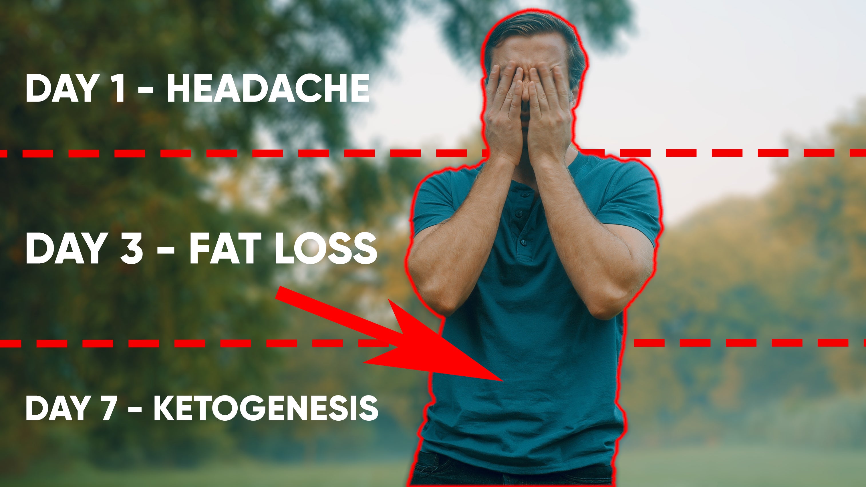 What Happens to Your Body After 1, 3, and 7 Days Without Food? | Nebula